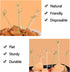 300PCS 4 Inch Bamboo Cocktail Picks - Knot Picks, Skewers, Toothpicks for Appetizers & Events...