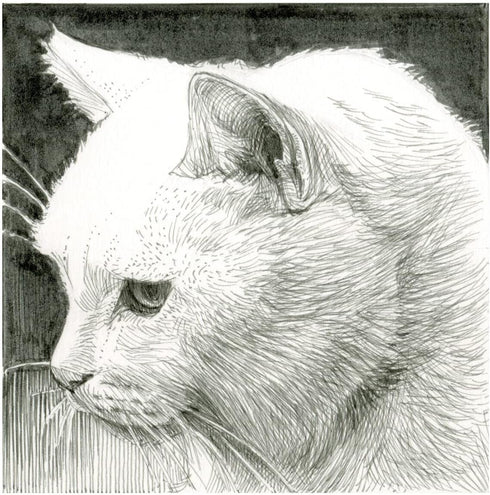 Sakura Pigma Micron 05 Black 0.45mm Line Width 1pcs...