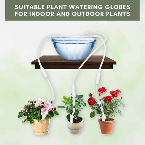 Eco-Fused 6 Pack Self Watering Planter Inserts for Pots - Vacation Plant Watering Devices - Indoor Plant Watering System - Self Watering Spikes - ...