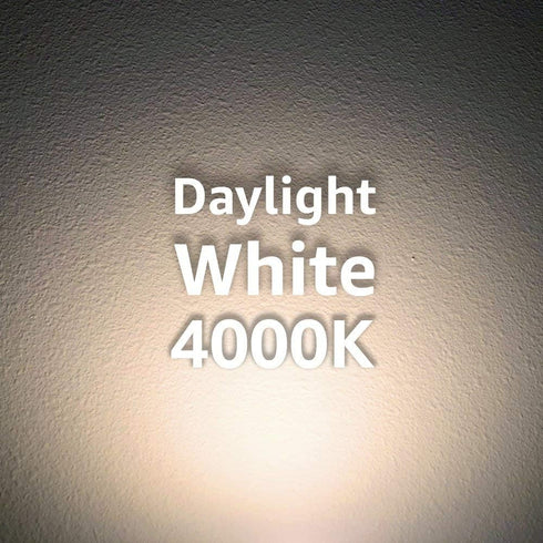 Euri Lighting EA21-22W1040eh, LED A21 22W (150W Equivalent), 2550lm, Dimmable, 4000K (Bright White) E26 Base, Fully Enclosed Rated, Damp Rated, UL...