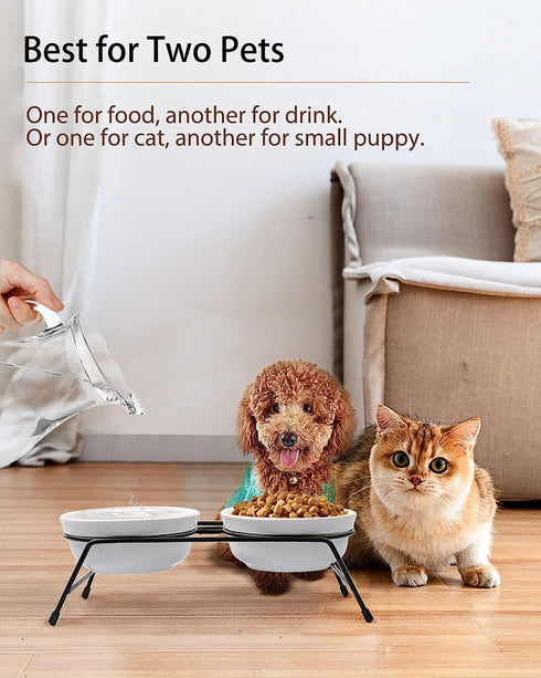 5" Ceramic Cat Bowl with Paws Pattern, Cat Food Bowl for Food and Water, Healthy Cat Dishes for Indoor Cats and Small Dogs, Dishwasher Safe & Micr...