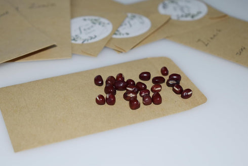 Mini Envelopes, 94pcs 2.3x3.9 in Tiny Envelopes Brown, Blank Seed Packets Small for Cards Party Favors DIY Gifts...