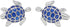 Novelty Silver Tone With Transparent Blue Enamel Sea Turtle Cufflink Turtoise Cuff links...