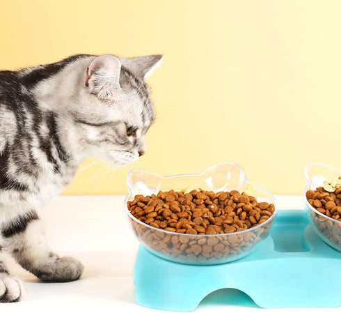 MILIFUN Cat Bowls, Cat Food Bowls Elevated Tilted, Anti Vomiting Kitty Bowls for Puppy and Bunny, Orthopedic Cat Bowls for Indoor Cats.(Blue)...