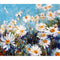 CAYUDEN Paint by Number for Adults, 16" x 20" Flowers Acrylic Paints by Numbers for Adults Beginner Kids Color Painting by Numbers on Canvas with ...