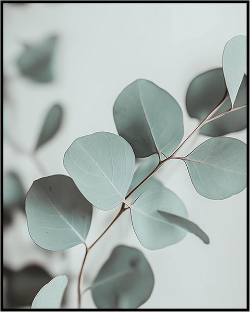 Posterizer 1 pcs-plant leaves-Chic art for plant lovers 2-Floral & Botanical Art-Workplace & Office Art-Living Room Bedroom Decor- unframed wall a...