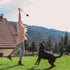 K9 Training Ball with Rope Exercise and Reward Toy for Dogs Indestructible Dog Toy Ball with Handle for Training Pull Throw Toy tug Toy Dogs Fetch...