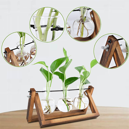 Plant Propagation Station, Plant Terrarium with Wooden Stand, Unique Gardening Birthday Gifts for Women Plant Lovers, Home Office Garden Decor Pla...