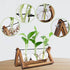 Plant Propagation Station, Plant Terrarium with Wooden Stand, Unique Gardening Birthday Gifts for Women Plant Lovers, Home Office Garden Decor Pla...