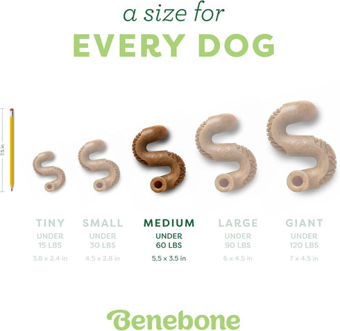 Benebone Tripe Bone Durable Dog Chew Toy for Aggressive Chewers, Real Tripe, Made in USA, Medium...