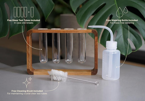 Source & Plot - Plant Propagation Station - Acacia Wood Stand 4 Glass Test Tube Hydroponic Tabletop Rooting Terrarium Planter Rack Home and Office...