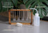 Source & Plot - Plant Propagation Station - Acacia Wood Stand 4 Glass Test Tube Hydroponic Tabletop Rooting Terrarium Planter Rack Home and Office...