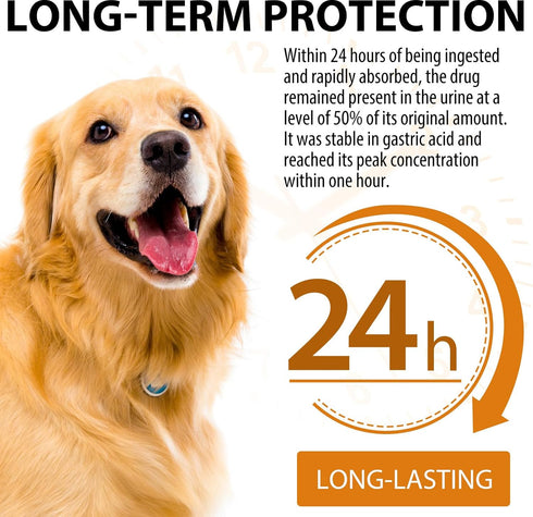 Quercetin for Dogs, Dogs Quercetin Supplement, Quercetin with Vitamin C for Dogs, Quercetin for Dogs Allergies, Support Balanced Immune System Ant...