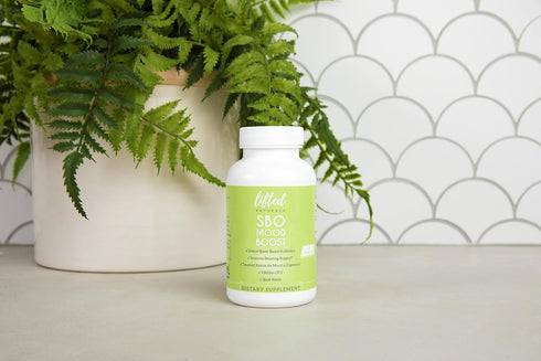 Lifted Naturals Probiotics - SBO Mood Boost Probiotic - Spore/Soil-Based - Digestion & Mood Support - Histamine-Free - Natural Mood Support - 60 D...