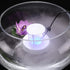 FITNATE Removable Mist Maker Floating Water Splash Guard for Humidifier...
