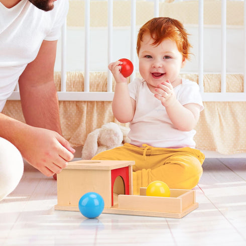 TOY Life Object Permanence Box with Tray and 3 Balls Montesorri Toys 6-12 Months Ball Drop Toy Box Wooden Baby Montessori Toys for Babies 6 to 12 ...
