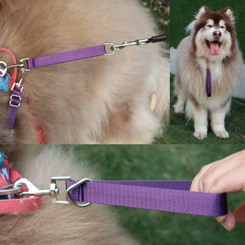 Traffic Dog Leash Dog Training Leash Pet Dog Traffic Grab Handle Dog Grab Tab Training Tab (Rosered & Purple)...