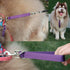 Traffic Dog Leash Dog Training Leash Pet Dog Traffic Grab Handle Dog Grab Tab Training Tab (Rosered & Purple)...