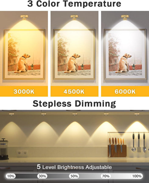 WILLED Rechargeable Picture Lights for Wall,1200mAh Battery Operated Wall Frame Lights,Puck Lights with Remote,Dimmable & Timer Art Lighting for P...