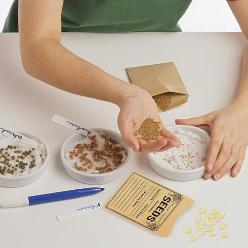 100pcs Seed Packets Envelopes - Seed Storage Envelopes - Vegetable Seeds Saving Envelopes - Self Sealing Kraft Envelopes for Seed Organizer - 3.1 ...
