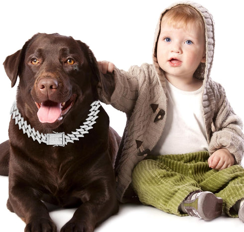 Dog Chain Diamond Cuban Collars Dog Training with Design Secure Buckle, Pet Crystal Necklace Accessories for Small Medium Large Dogs Cats...