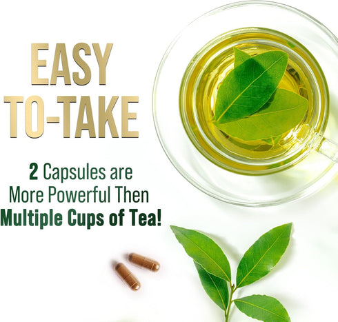 Green Tea Extract Capsules 1000mg 98% Standardized EGCG - 3X Strength for Natural Energy - Heart Support with Polyphenols - Gentle Caffeine - 240 ...