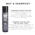 Watercolors Intense Metallic Color Depositing Sulfate & Paraben Free Shampoo, Maintains & Enhances Haircolor - Steel 8.5 oz...