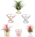 6 PCS Geometric Air Plant Holder Airplants Rack Metal Plants Stand, Airplant Stand Container Tillandsia Stainless Steel Display Racks, Wire Metal ...