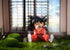 DBZ Actions Figures GK Son Goku Figure Statue Figurine Super Saiyan Collection Birthday Gifts PVC 3.5 Inch...