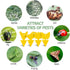 Yellow Traps 50 Pack Gnat Sticky Traps for Indoor/Outdoor House Plants Fungus Traps Insect Catcher for Mosquitoes, Plant gnat Sticky Traps (45?45+...