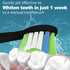 Replacement Toothbrush Heads Compatible with Aquasonic Black Series/Vibe Series/Black Series Pro/Duo Series Pro,8 Pcs Black Electric Toothbrush He...