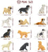 Toymany 12PCS Mini Dog Figurines Playset, Realistic Detailed Plastic Puppy Figures, Hand Painted Emulational Tiny Dogs Animals Toy Set, Cake Toppe...