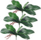 Miracliy Phalaenopsis Orchid Leaves Fake Leaves Real Latex Touch Plants Arrangement...
