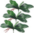 Miracliy Phalaenopsis Orchid Leaves Fake Leaves Real Latex Touch Plants Arrangement...