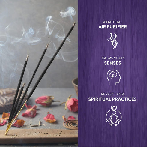 HEM Lavender Incense Sticks Pack Of 120 | Natural Relaxing | Aromatherapy Incense For Air Purifier, Mind & Spirit & Ritualistic Fragrance | Gift S...