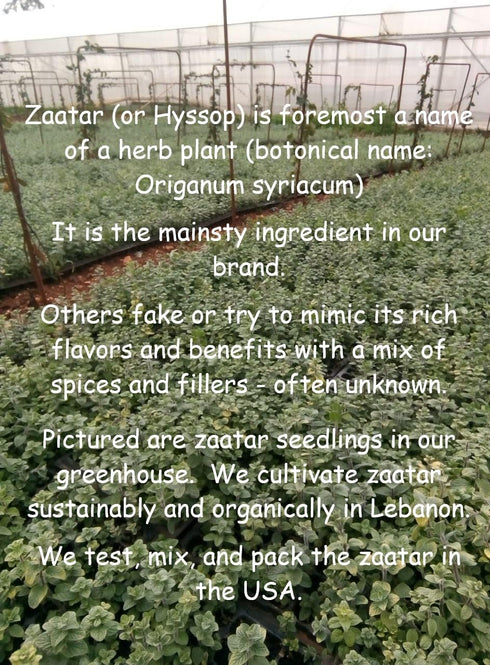 Zaatar by Tyme Foods – Zaatar Seasoning with Genuine Hyssop Herb/Zaatar Spice - Fresh Za'atar Seasoning Blend Mixed in USA...