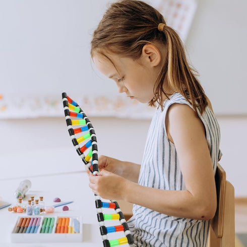 Generic Molecular Model Kit:Double Helix Structure Model Molecular Model Kit for Kids Students Instructional...