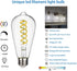 Dimmable Vintage LED Edison Bulbs, 6W, Equivalent 60W, 600lm, Daylight 5000K,ST58 Antique LED Filament Bulbs, E26 Medium Base, Clear Glass, Pack o...