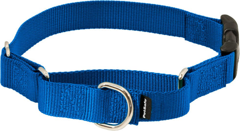PetSafe Martingale Dog Collar with Quick-Snap Buckle - Large, 1 Inch, Royal Blue...