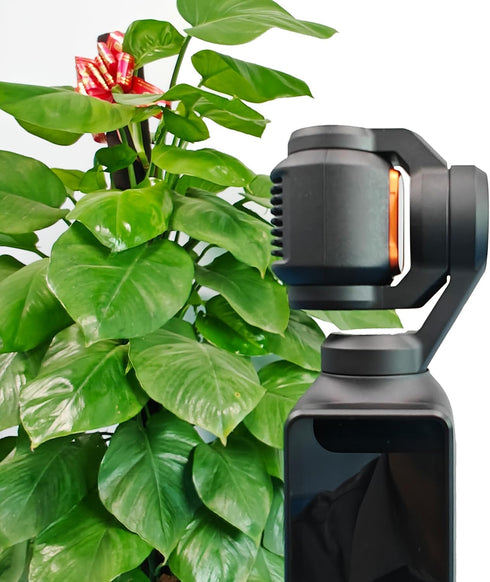 Black Mist Filter, Black diffusion 1/4 Magnetic Creative Filter Beauty Soft Filters for DJI Osmo Pocket 3 Creator Combo...