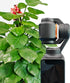 Black Mist Filter, Black diffusion 1/4 Magnetic Creative Filter Beauty Soft Filters for DJI Osmo Pocket 3 Creator Combo...