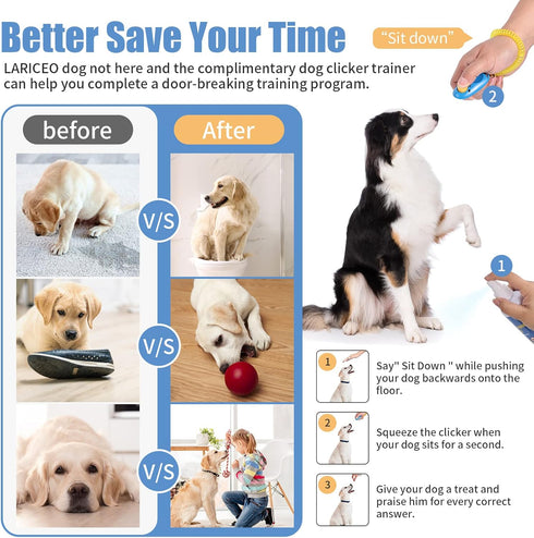Dog Stay Away Spray - 8 oz Secure Pet Spray - Dissuade Undesirable Peeing - Effective Dog Training Solution - Not Here Canine Spray...