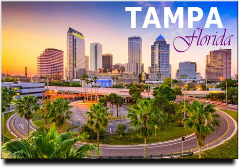 Tampa Fridge Magnet Florida Travel Souvenir...