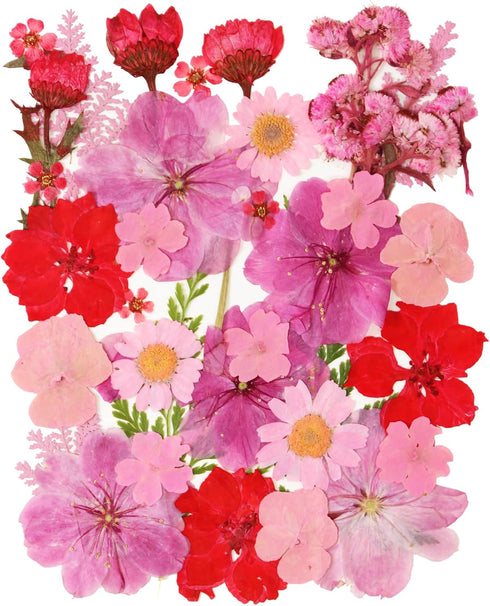 35 Pcs Dried Pressed Flowers for Resin, Pink Real Pressed Flowers Bulk Natural Herbs Kit for Scrapbooking DIY Art Crafts, Epoxy Resin Jewelry Mold...