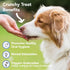 Marcy's Pet Kitchen- All Natural, Crunchy, Pumpkin Biscuit Dog Treats - Homemade - Crunchy Approved- Vegan, Gluten Free, Human Grade Ingredients, ...