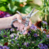 Pruning Shears for Gardening - The Perfect Garden Tools for Gardening and Trim Sphagnum Moss, Bonsai, Herb and Aero Garden - Weed Accessories for ...