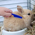 4 Pieces Bunny Grooming Kit with Rabbit Grooming Brush Pet Hair Remover Pet Nail Clipper Pet Comb Shampoo Bath Brush with Adjustable Ring Handle f...