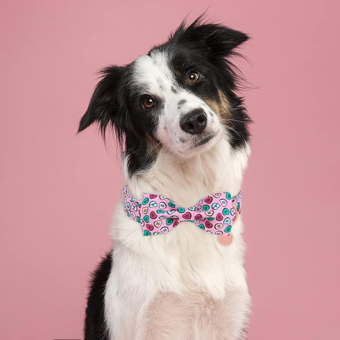 Valentine Dog Collar with Bow Tie, Valentine Bowtie Collar for Puppy Girl Boy Dog or Cat, Valentine’s Day & Wedding Gift Pet Collar, Cotton Pink C...