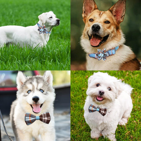 Plaid Dog Collar Leash Set Bow Tie Adjustable Cute Puppy Collar with Durable Metal Buckle Girls Boys Dog Collar for Small Medium Large Dogs Blue-M...