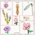 Mini Bricks Flower Bouquet Building Set, Artificial Flowers DIY Unique Decoration Home 547 Pcs Botanical Collection for Couples Women Wife Girl...